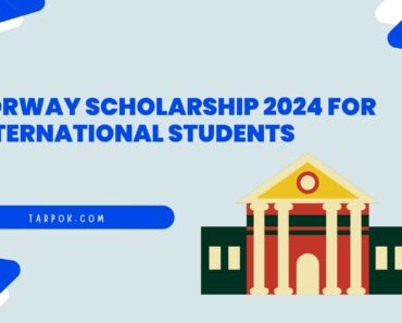 Norway Scholarship 2024 for International Students: Opportunities, Requirements, and Tips for Success
